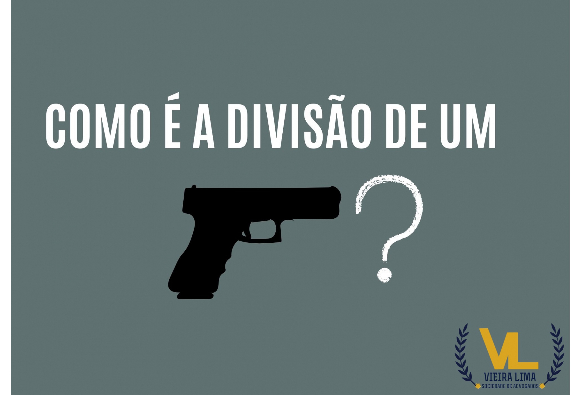 COMO É A DIVISÃO DE UM REVÓLVER?  - Vieira Lima Advogados